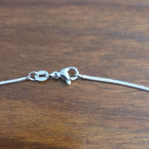 Flame Painted Dragonfly Necklace and Earring Set on a 20" chain - Picture 8 of 8